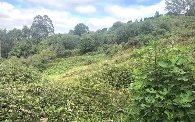 Terreno rustico in vendita a Camino DE LOS CIERROS-CALDONES, imagen 15