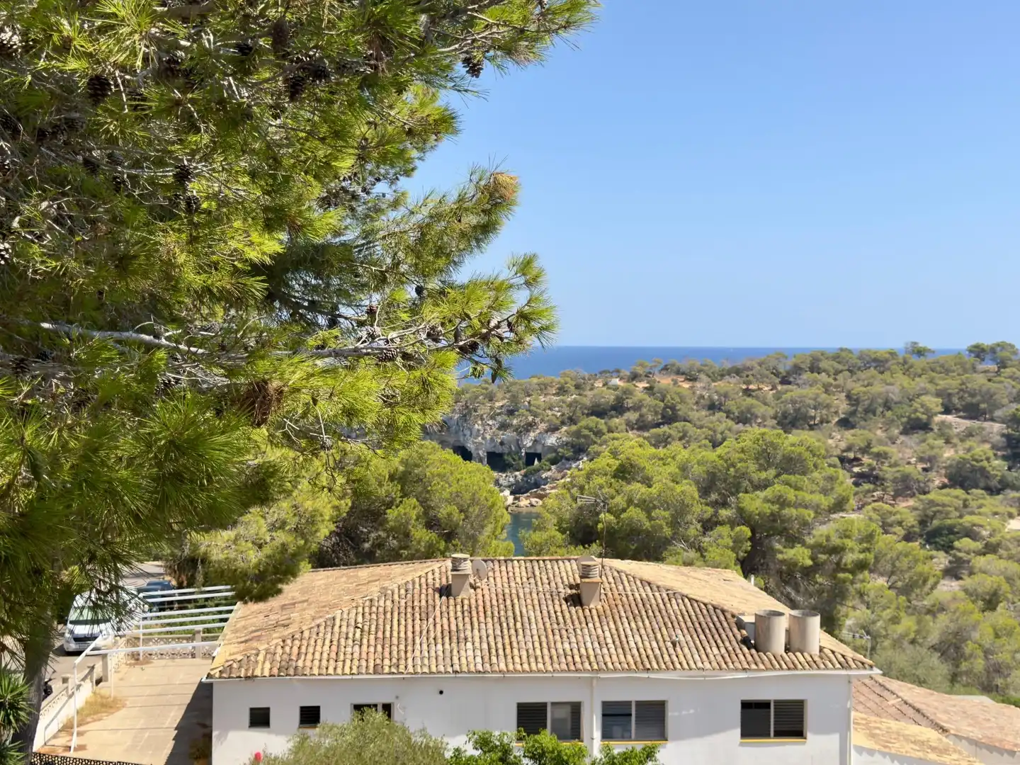 Vista exterior de Apartamento en venta en Calvià con Aire acondicionado, Terraza y Amueblado