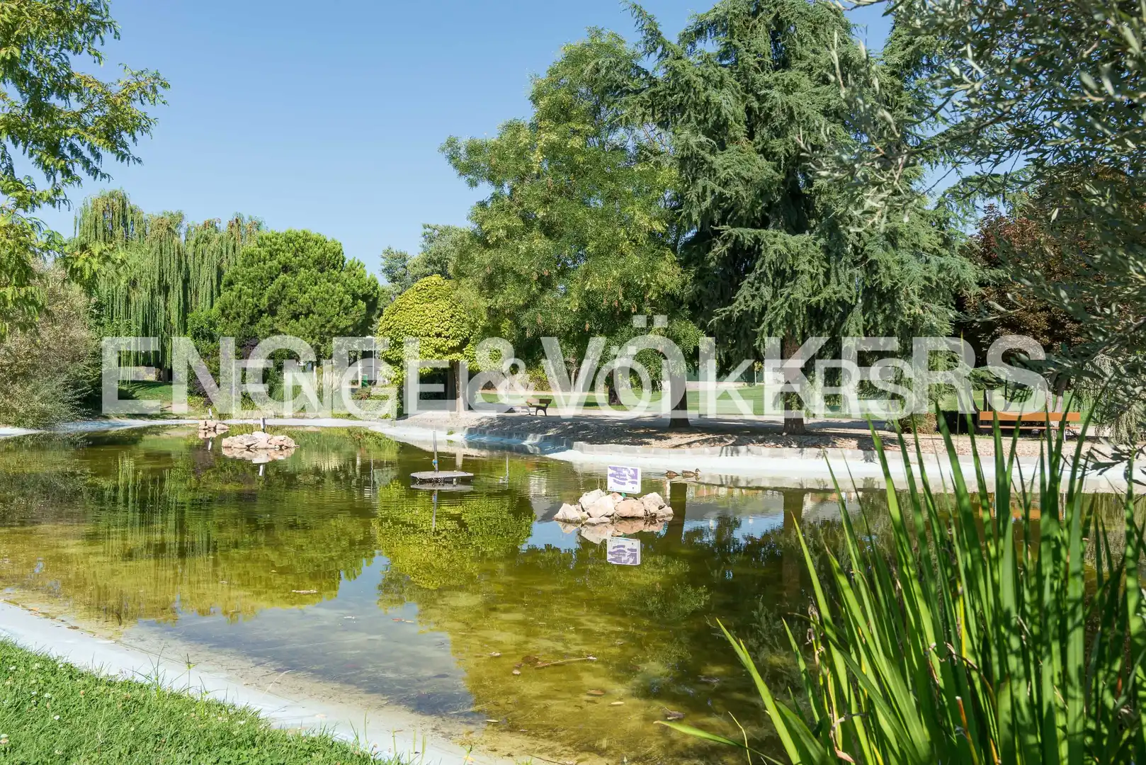 Piscina de Estudi de lloguer en Villanueva de la Cañada amb Aire condicionat, Calefacció i Jardí privat
