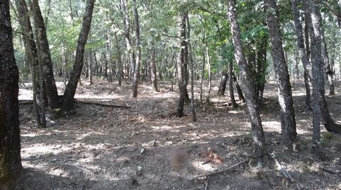 INMOEX VENDE FINCA EN JARANDILLA DE LA VERA , imagen 5
