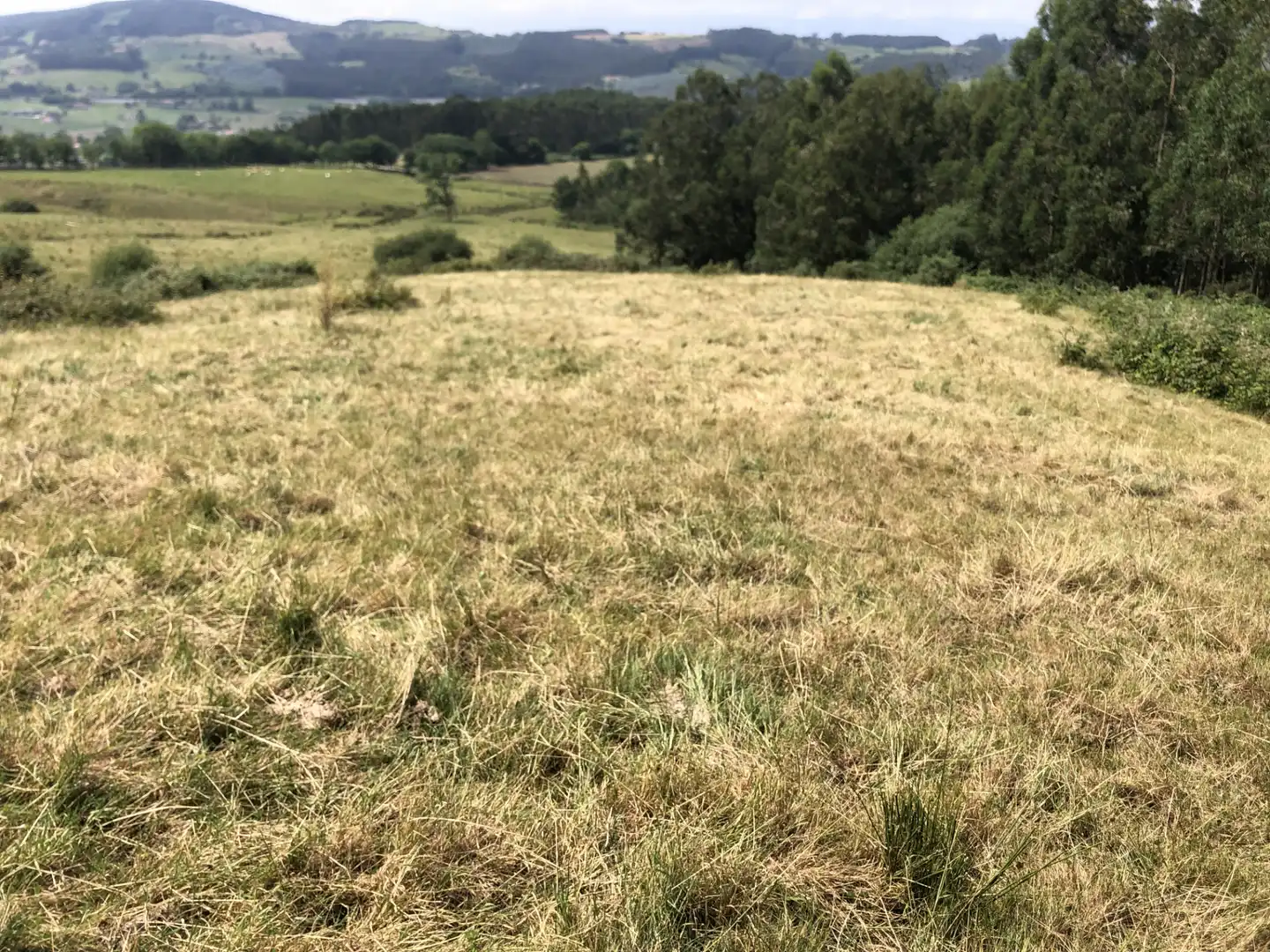 Finca rústica en venta en N/A, -1, Villaescusa (Cantabria)
