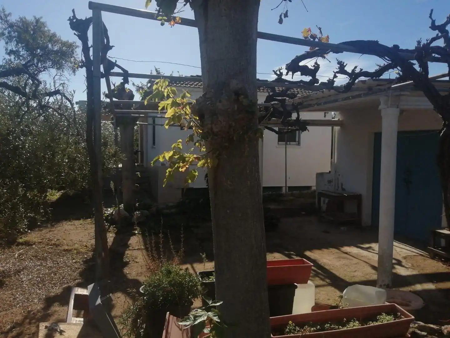 Villa in vendita a Riudoms, imagen 16