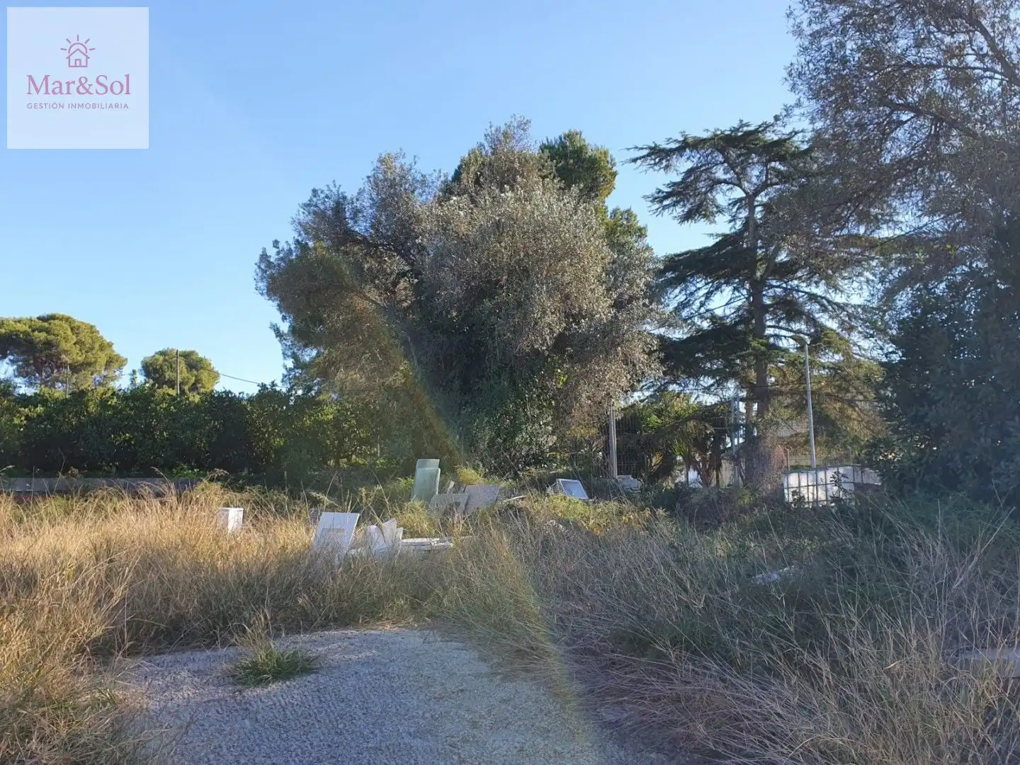 Terreny residencial en venda a Polinyà de Xúquer, imagen 4