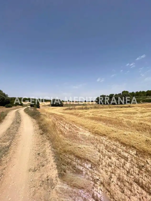 Finca rústica en venda en Almansa amb Calefacció, Jardí privat i Terrassa