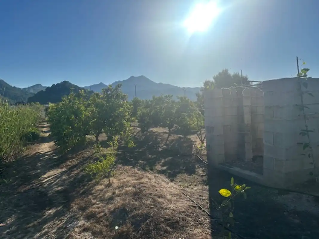 Terreno en venta en Xeresa