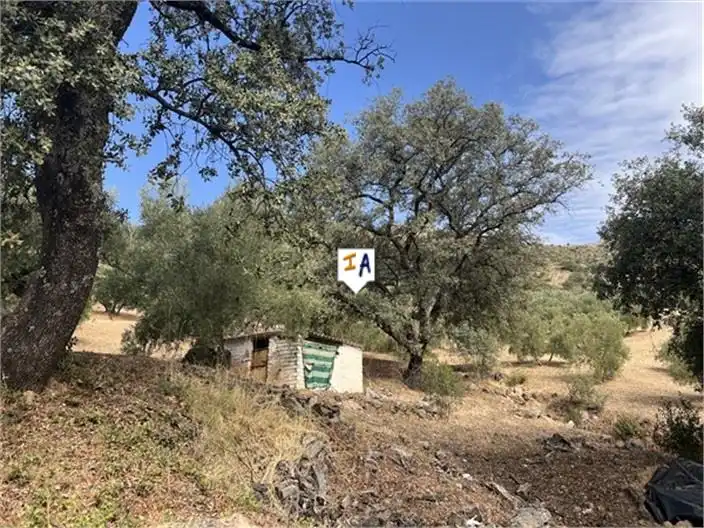 Casa rústica en venda a Priego de Córdoba, imagen 7