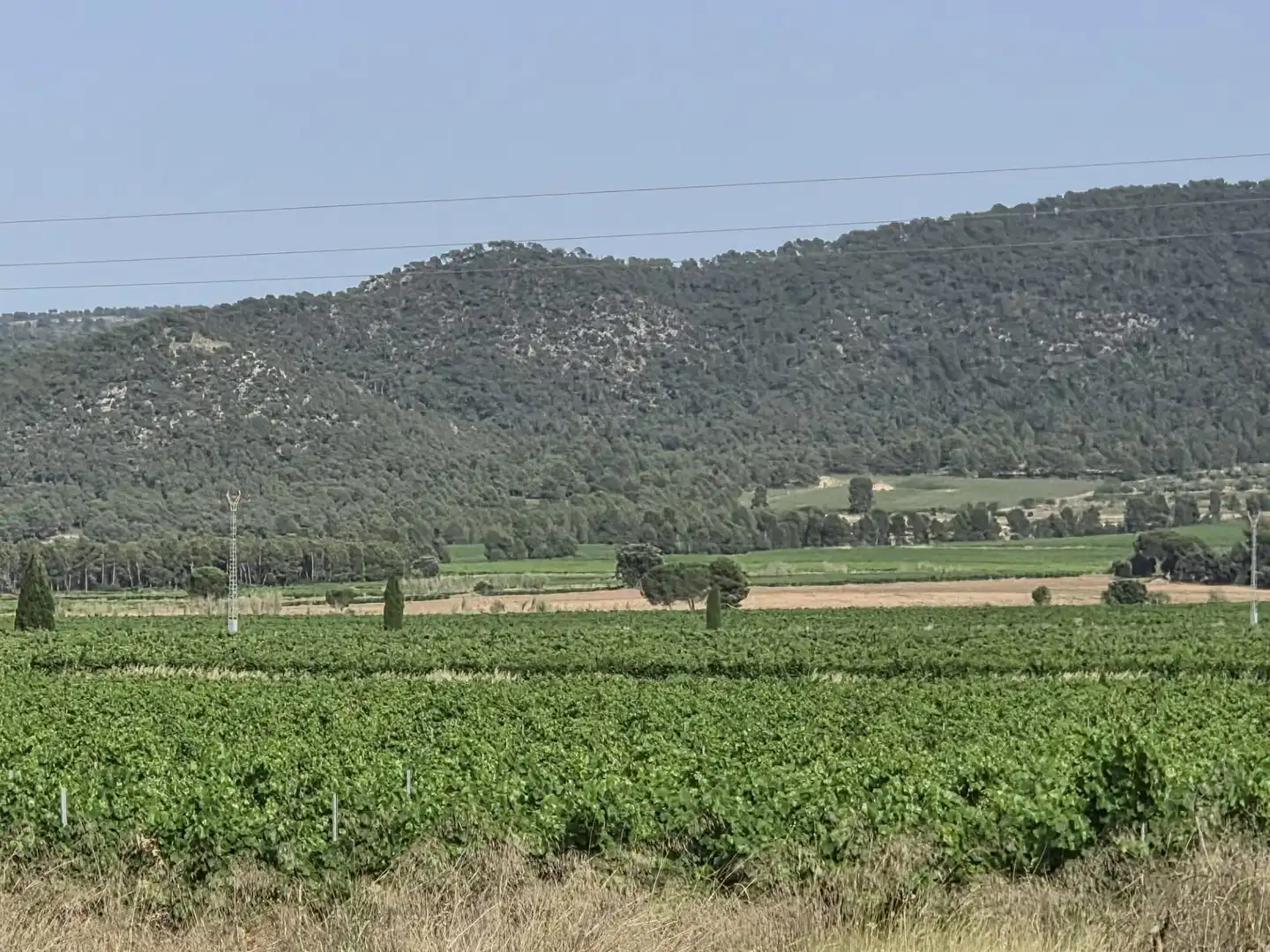 Detached homes for sale in Fontanars dels Alforins
