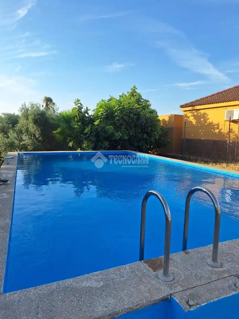 Piscina de Finca rústica en venta en Dos Hermanas