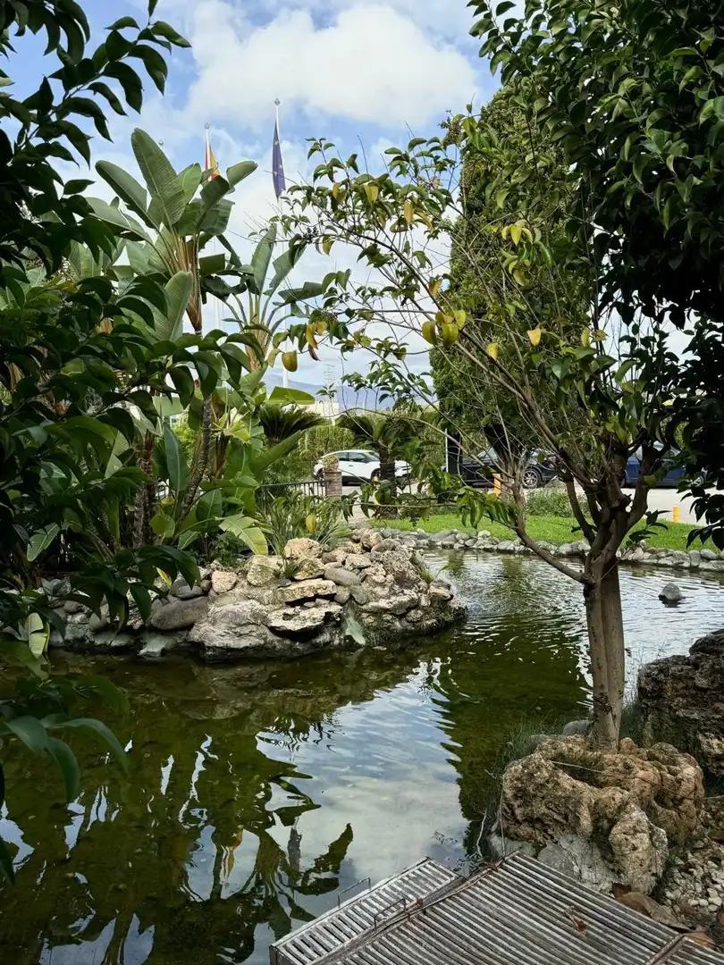 Garden of Apartments for rent in Estepona  with Air Conditioner, Heating and Terrace