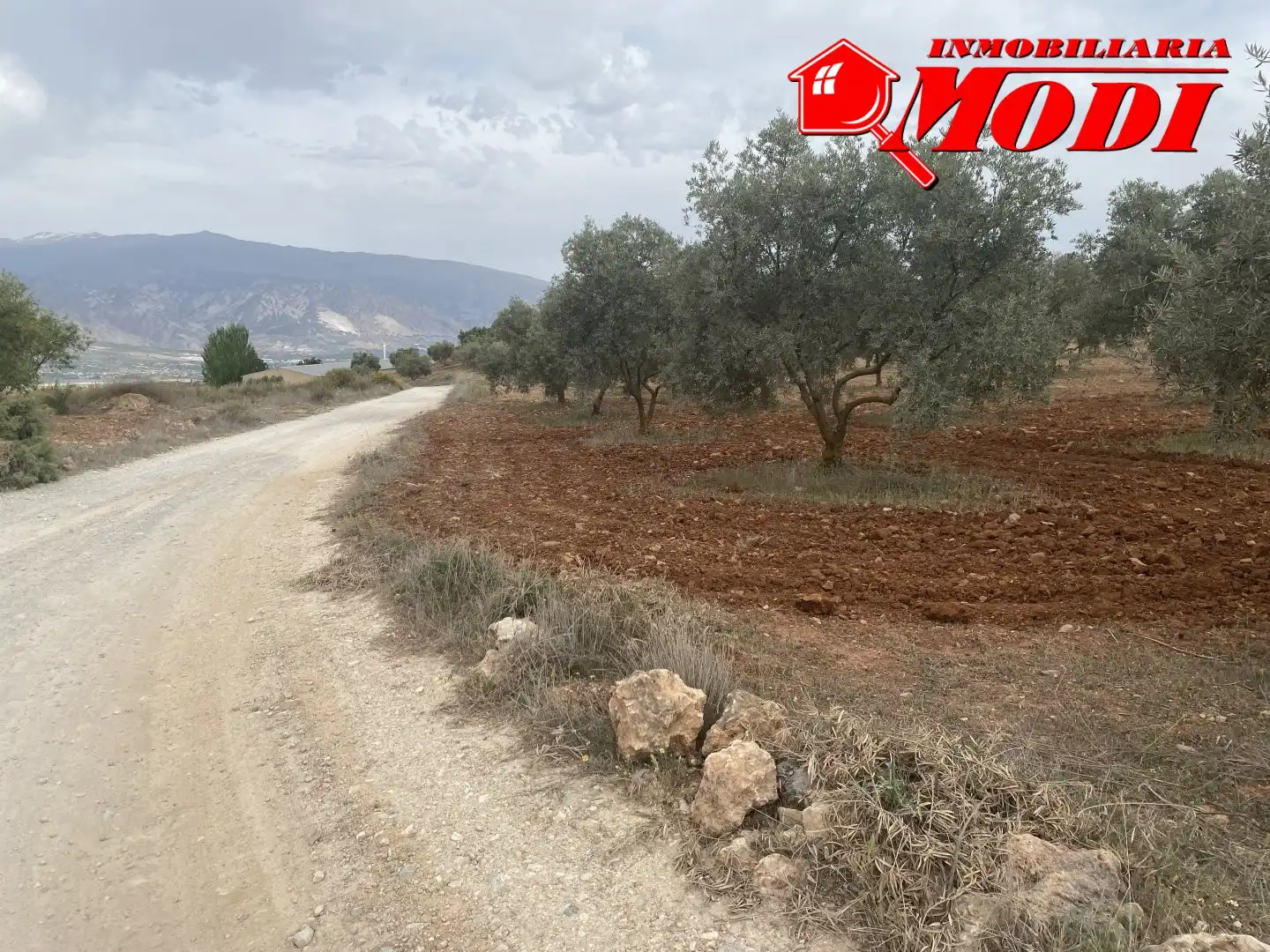Terrenys i solars en venda a Padul, imagen 23