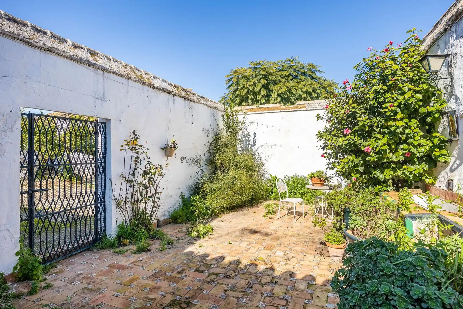 House with terrace for sale in Plaza ESPAÑA DE 8, imagen 13