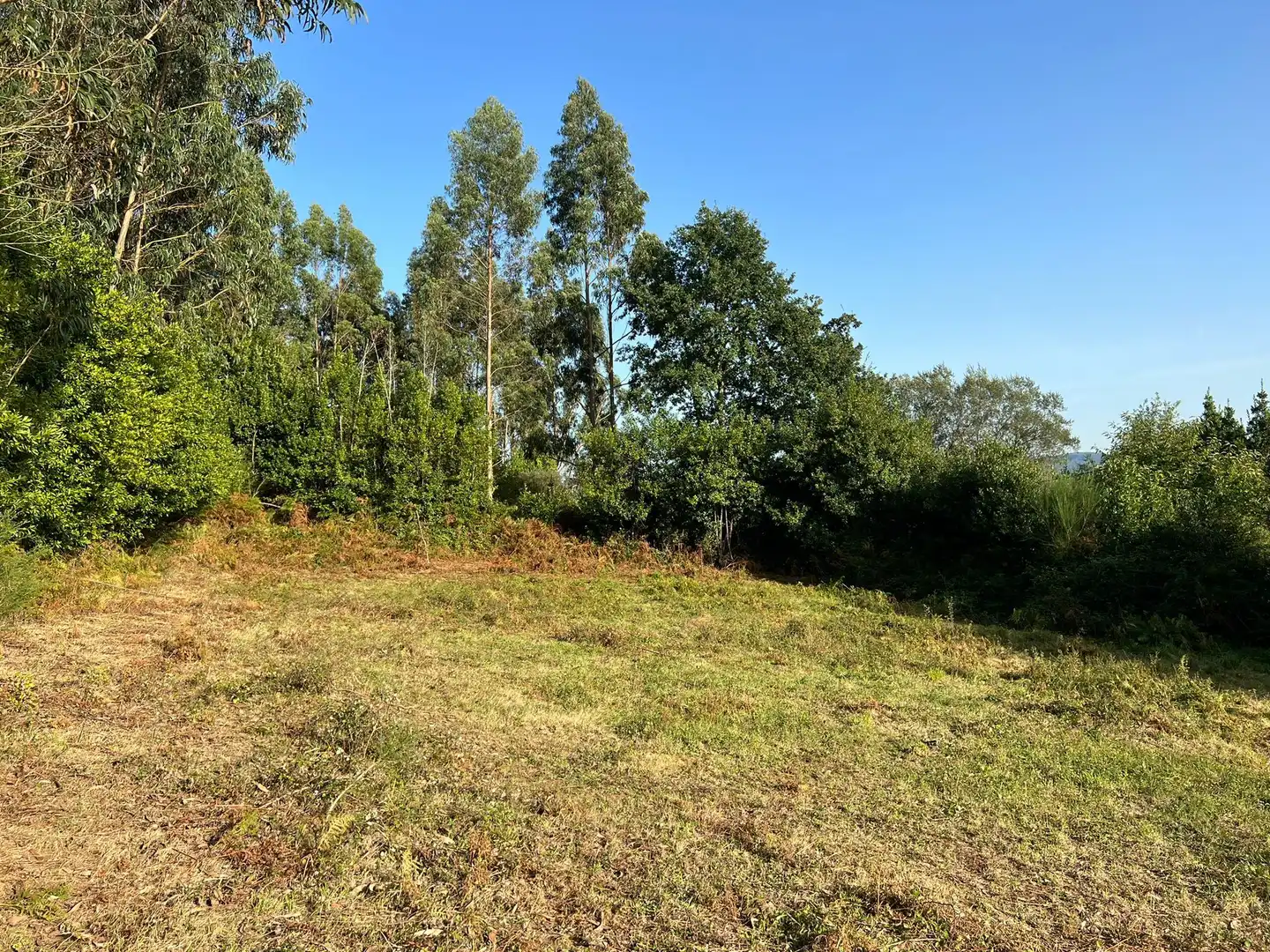 Haus mit Garten zum Verkauf in Moeche, imagen 11