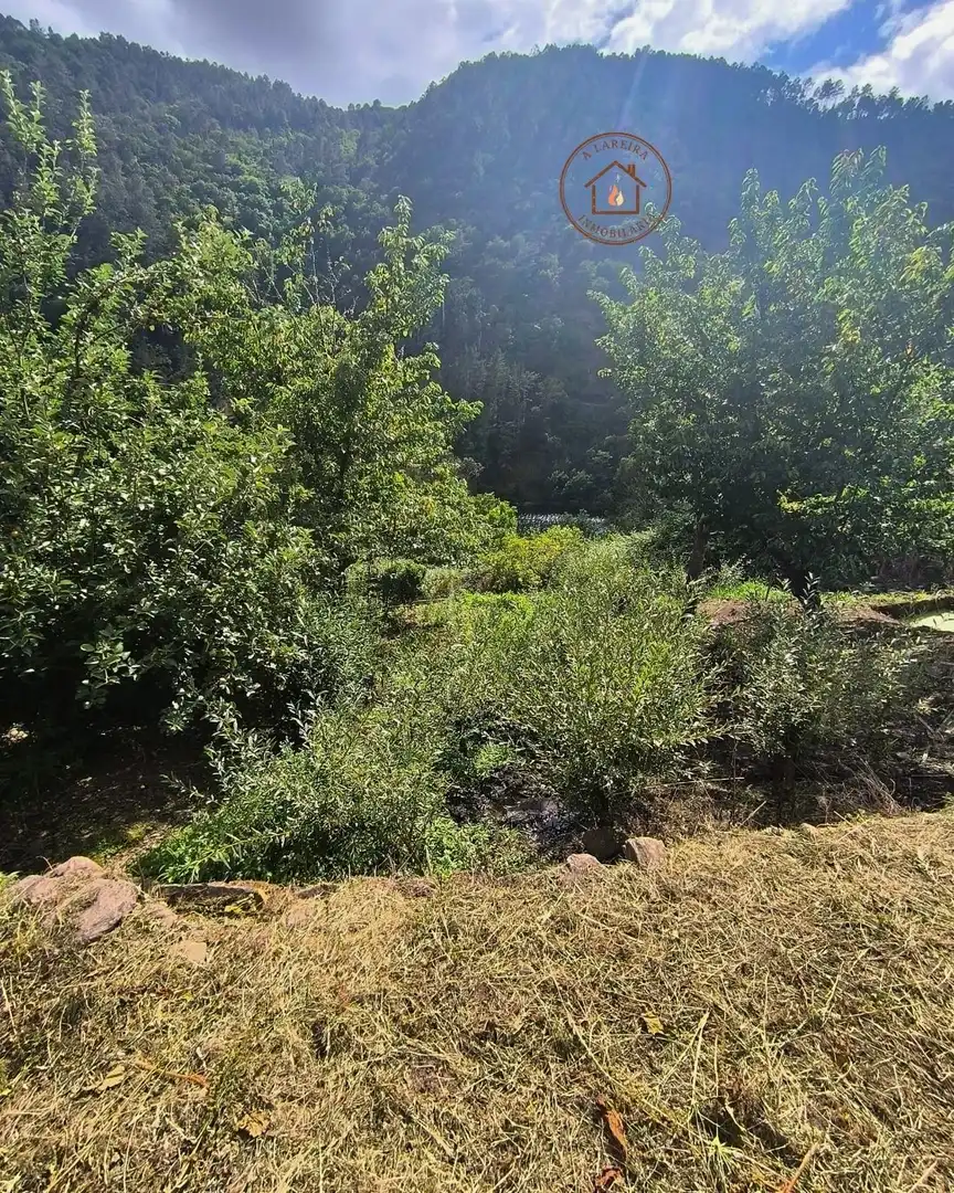 Casa o xalet en venda en Pantón amb Calefacció, Jardí privat i Terrassa