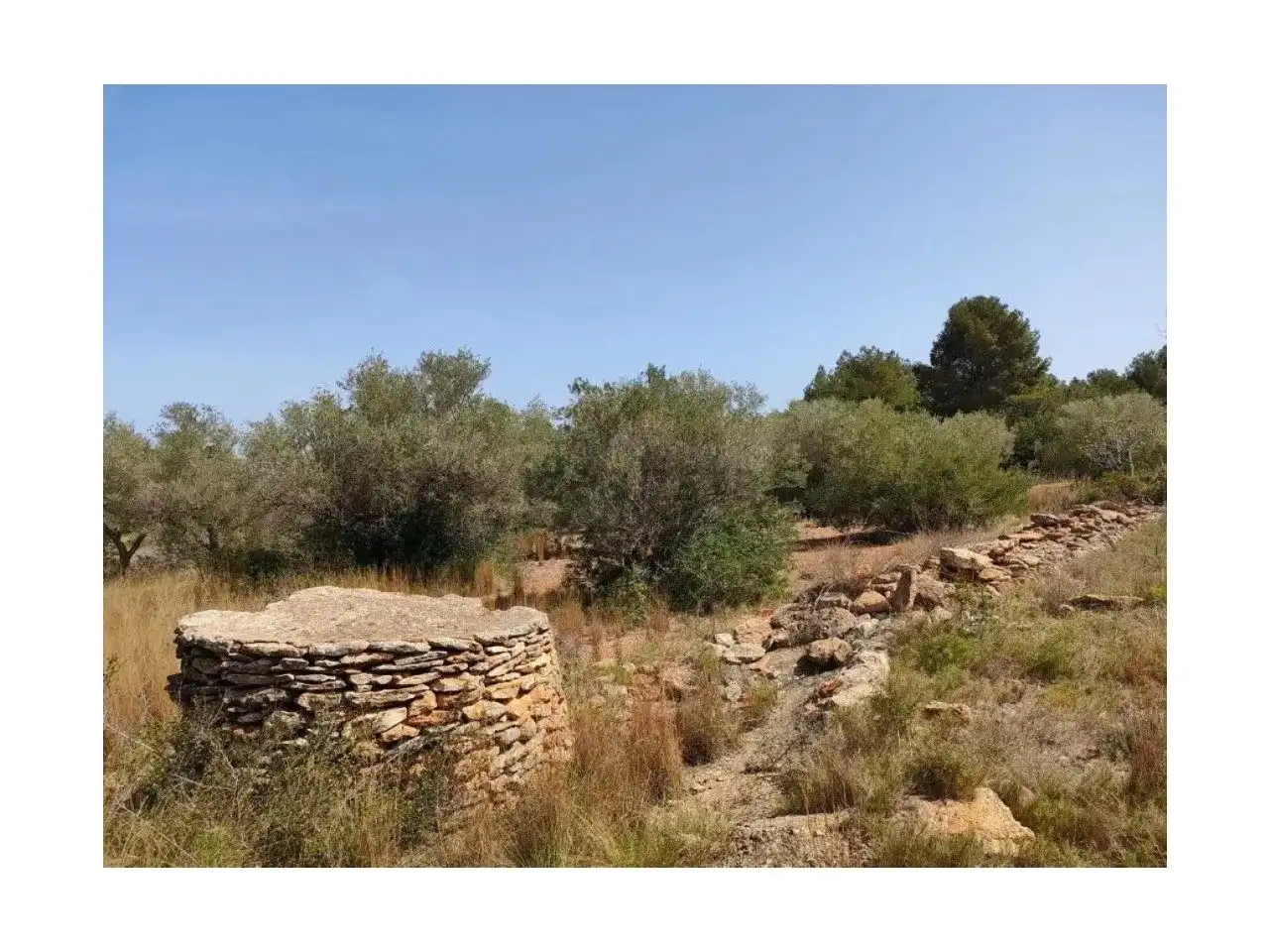 Country house for sale in Vinaròs-Ulldecona, imagen 2
