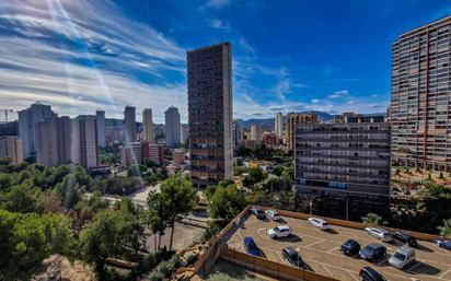 Vista exterior de Apartament en venda en Benidorm amb Jardí privat i Terrassa