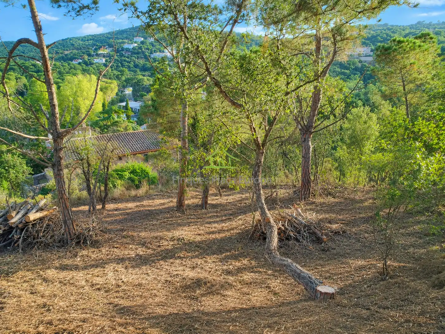 Terrenys i solars en venda a Mas Pere - Río de Oro, imagen 6