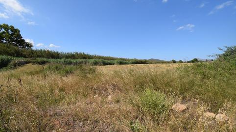 Foto 5 de Terreny en venda a Muro, Illes Balears