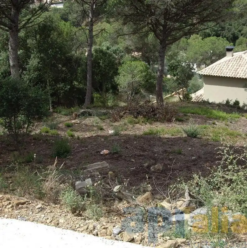 Terreny residencial en venda a Carrer Alzina, imagen 4