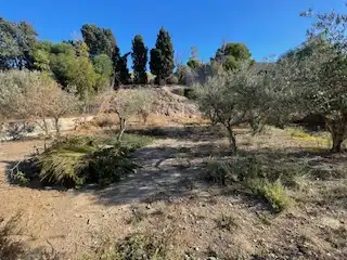 Villa mit Terrasse zum Verkauf in Pechina, imagen 9