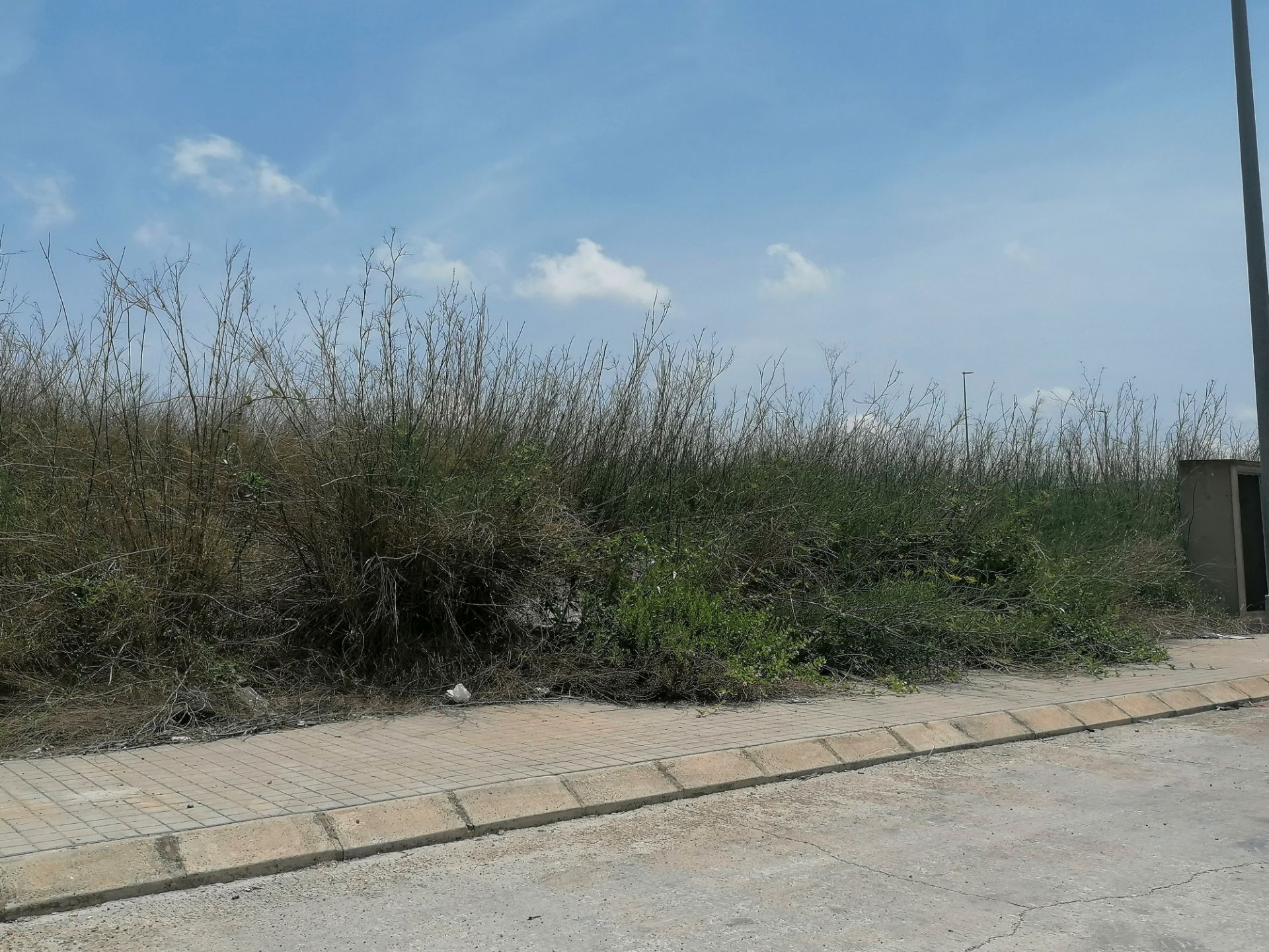 Industrial land for sale in Alcàsser