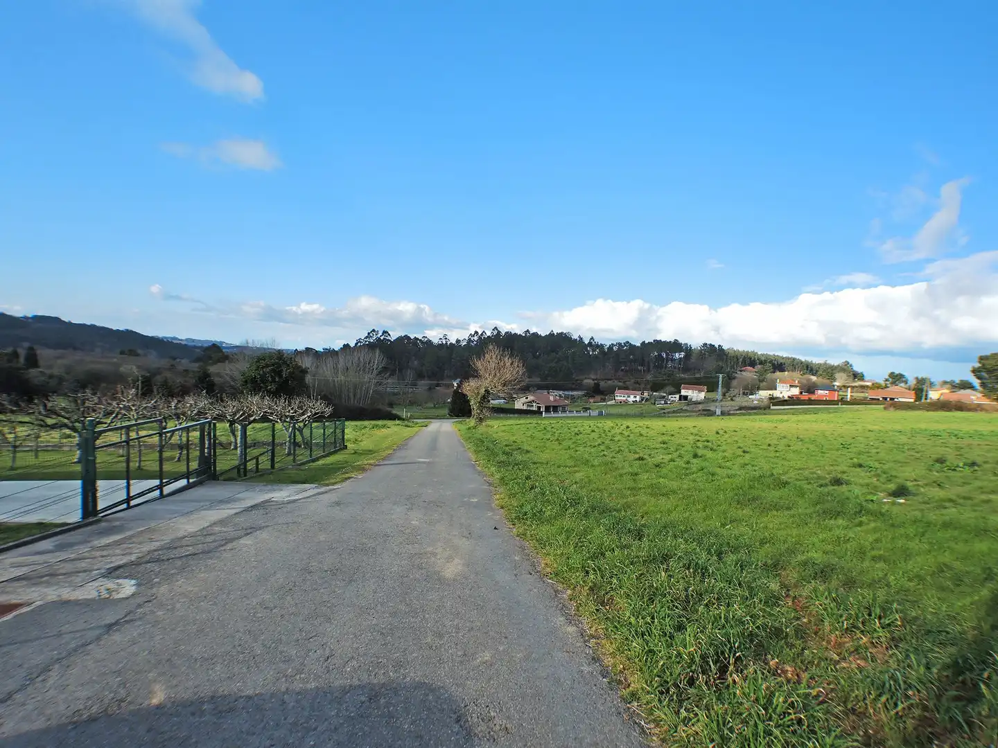 Terreni e lotti in vendita a Monte, imagen 11