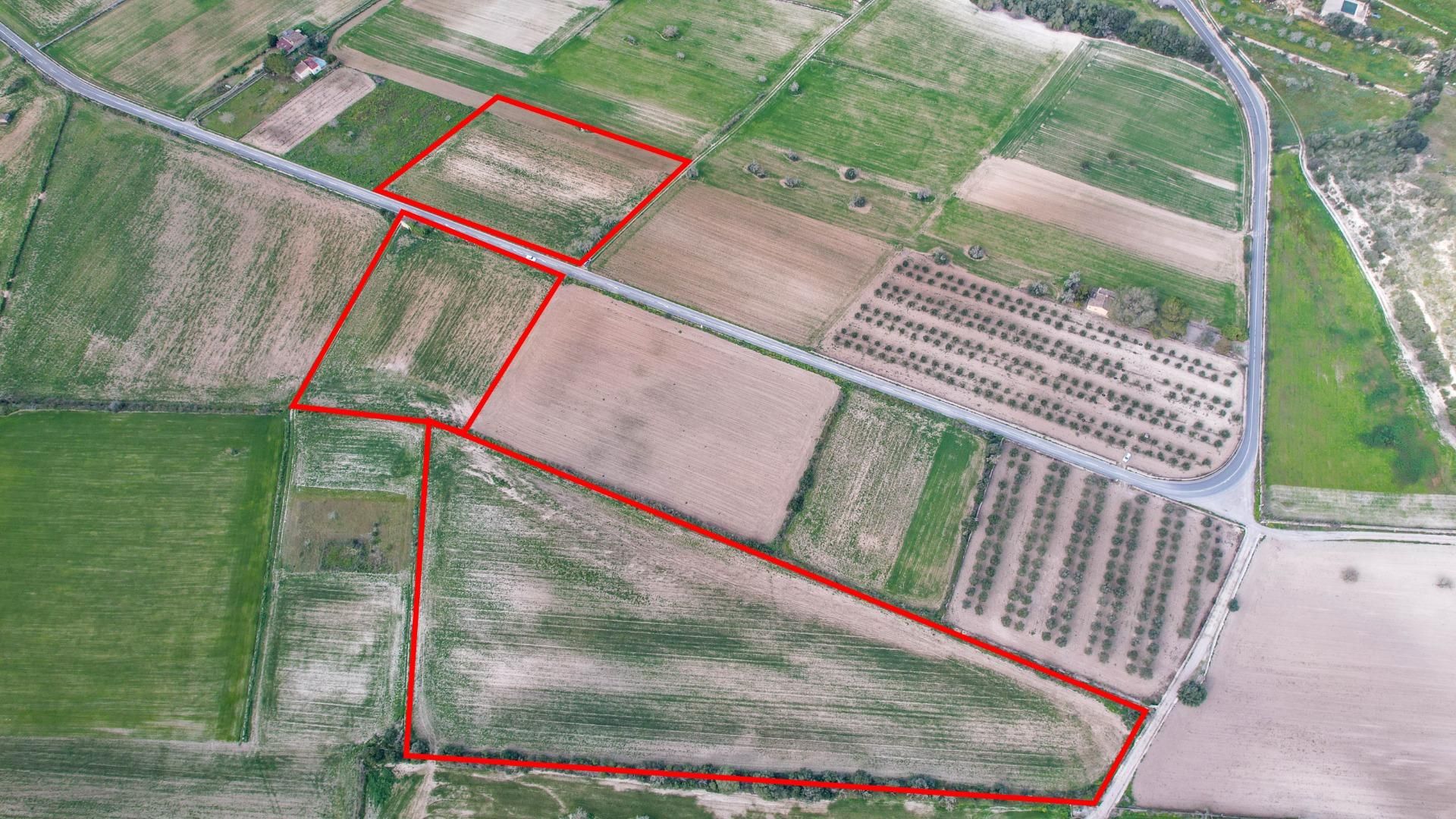 Grundstücke zum verkauf in Algaida