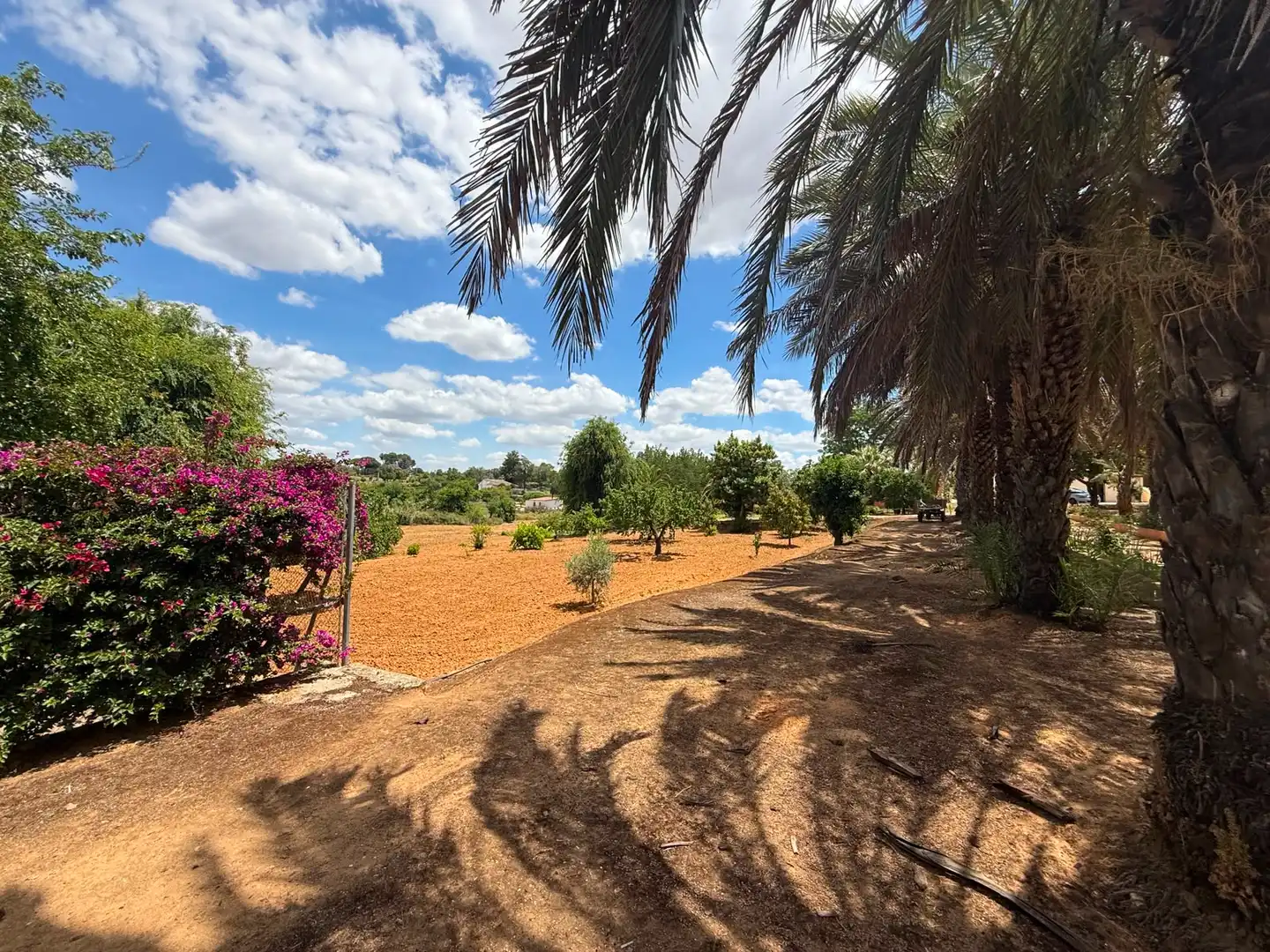 Chalet con piscina en venta en Carretera Olivares, imagen 53