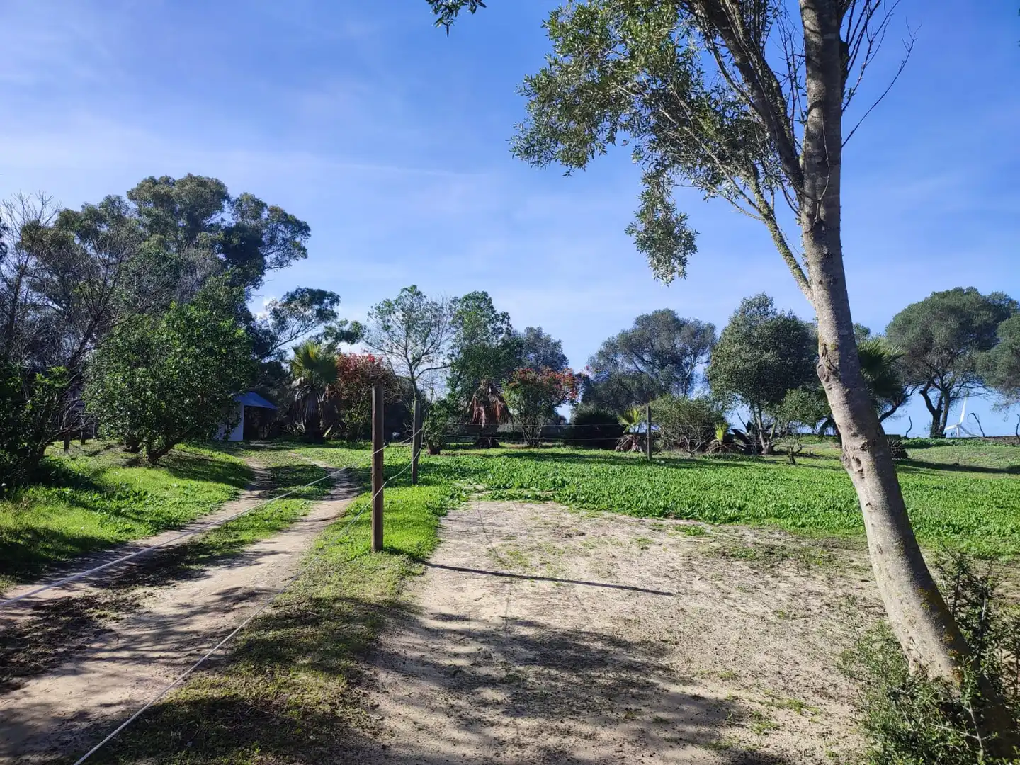 Haus oder Chalet zum Verkauf in Vejer de la Frontera mit Heizung, Privatgarten und Parkett