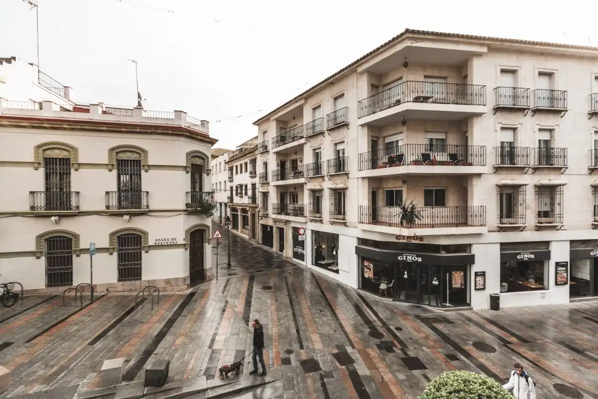 Appartamento con terrazza in vendita a ANGEL DE SAAVEDRA, imagen 32