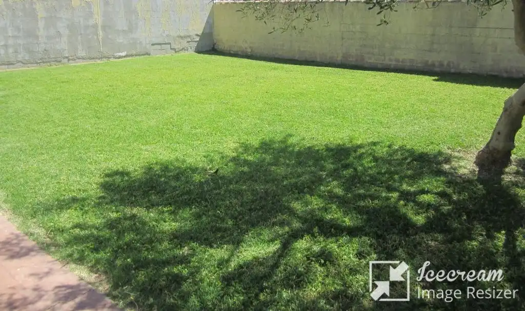 Villa avec jardin à vendre à Calle Lugano, imagen 16