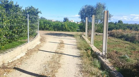 Terreno rústico con naranjos y camino privado  zona sur de Oliva, imatge 5