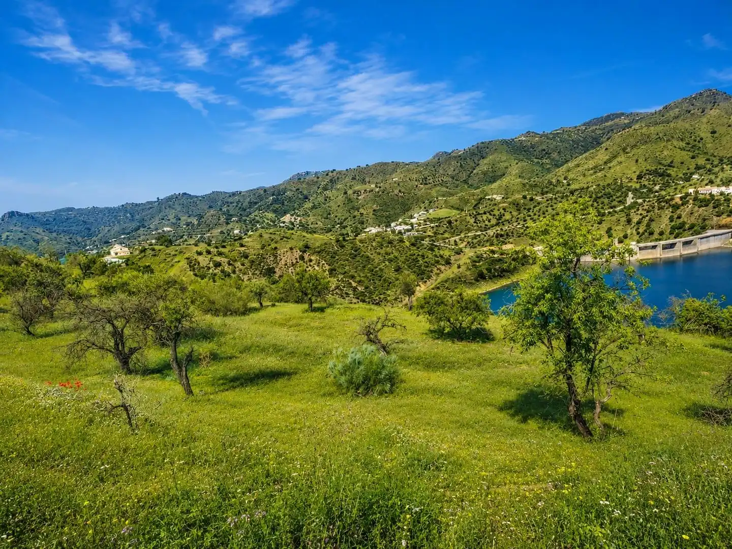 Grundstücke zum Verkauf in Almogía