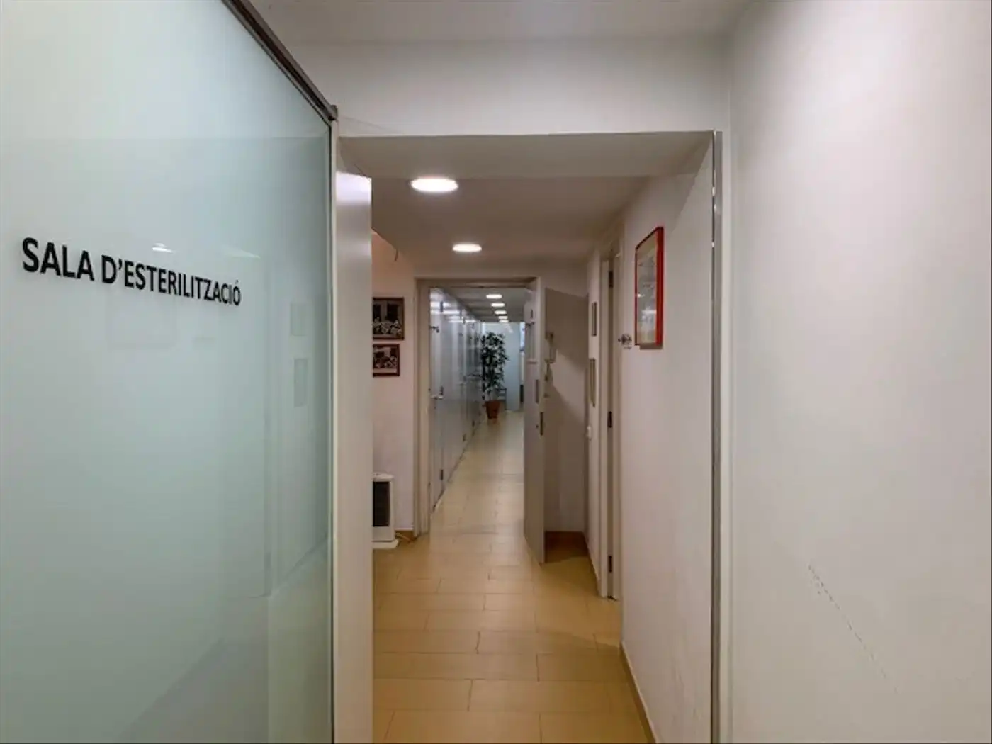 Local comercial en venta en Eixample, imagen 15