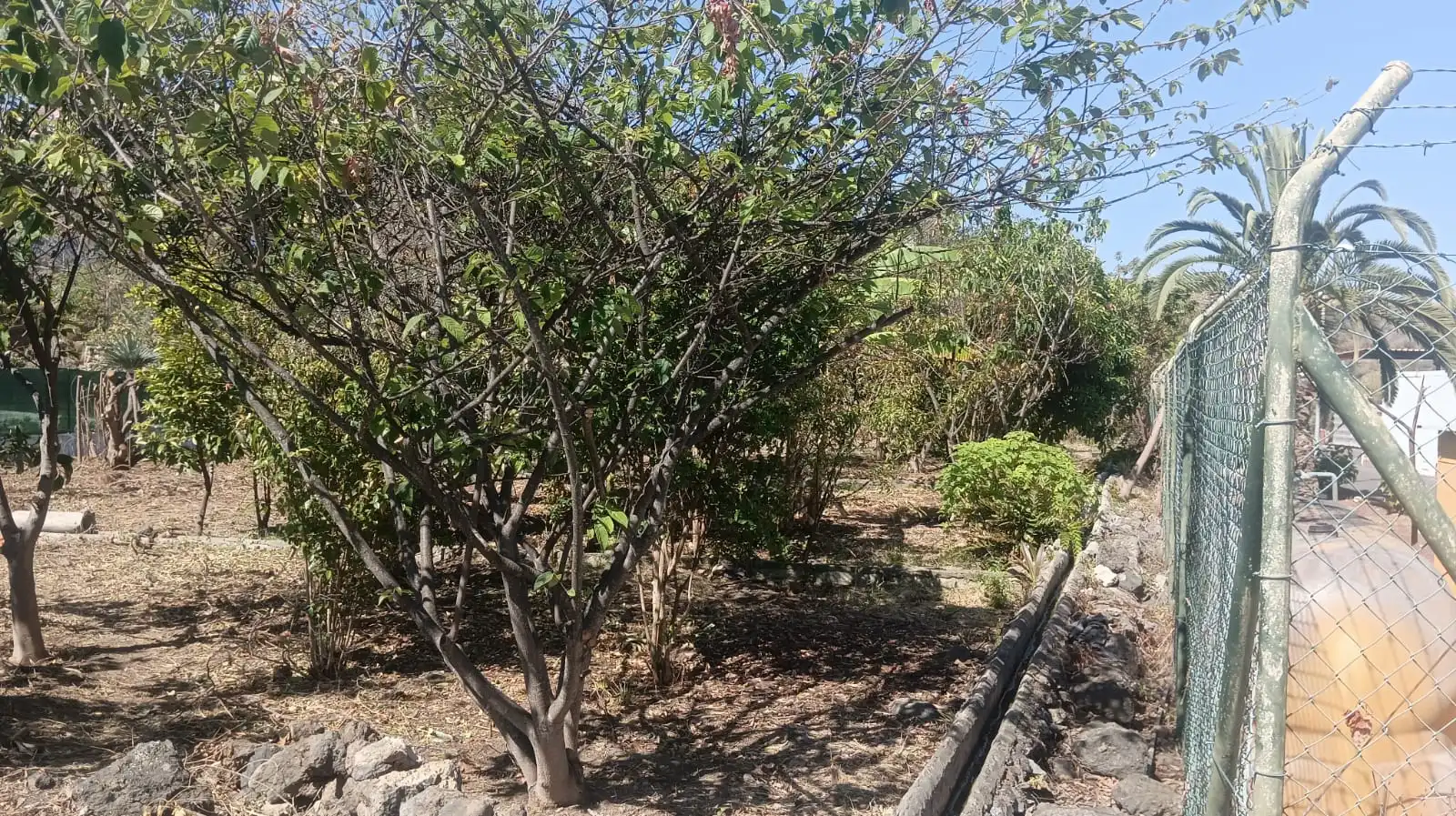Rural land for sale in San Felipe - San Marcos - Las Cañas, imagen 26