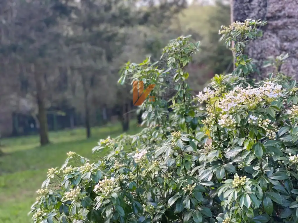 Jardí de Casa o xalet en venda en Ames