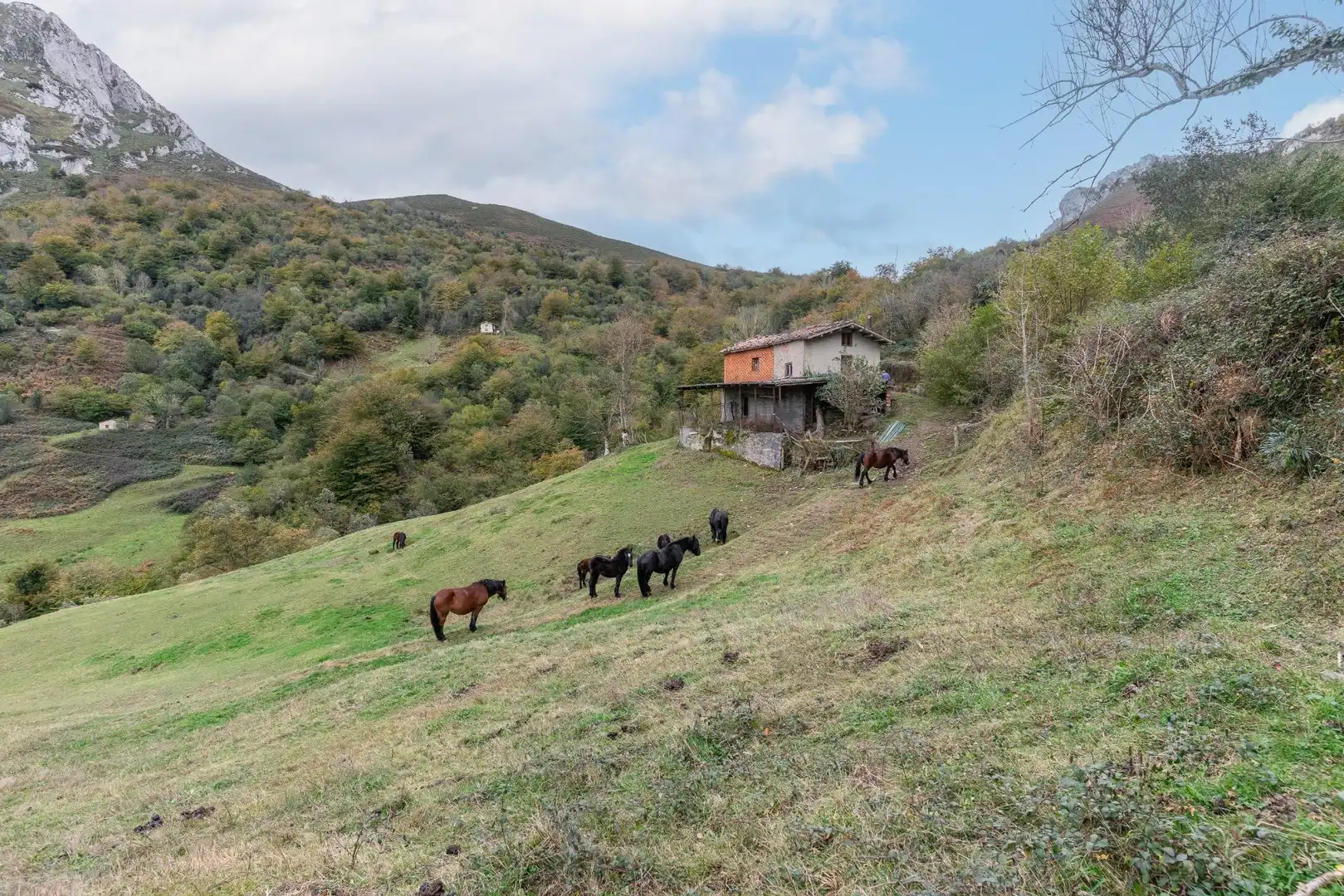 Außenansicht von Grundstücke zum Verkauf in Laviana