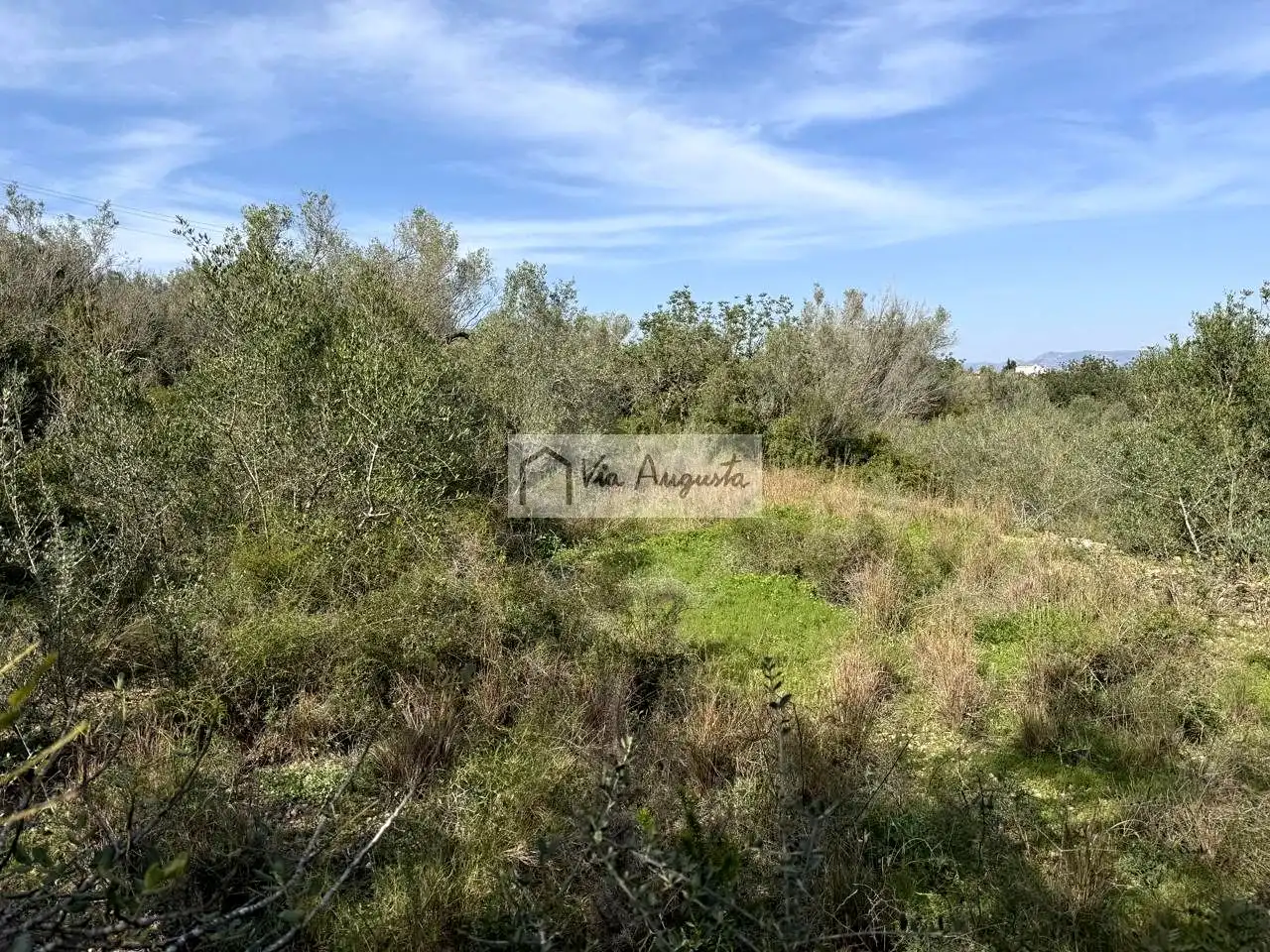 Terreno rustico in vendita a oliveres, imagen 7