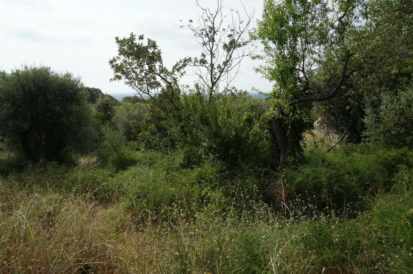 Maison rustique à vendre à Les Borges del Camp, imagen 4