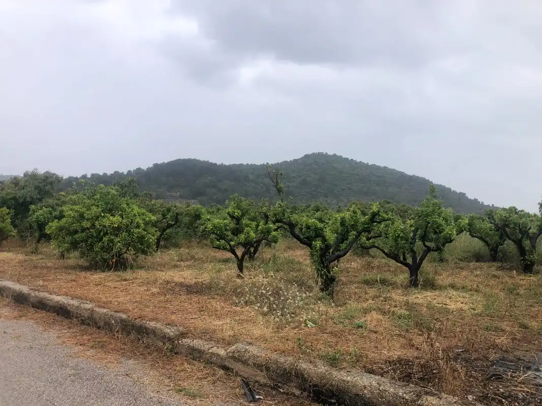 Terreny rústic en venda a Castelló de Rugat, imagen 13