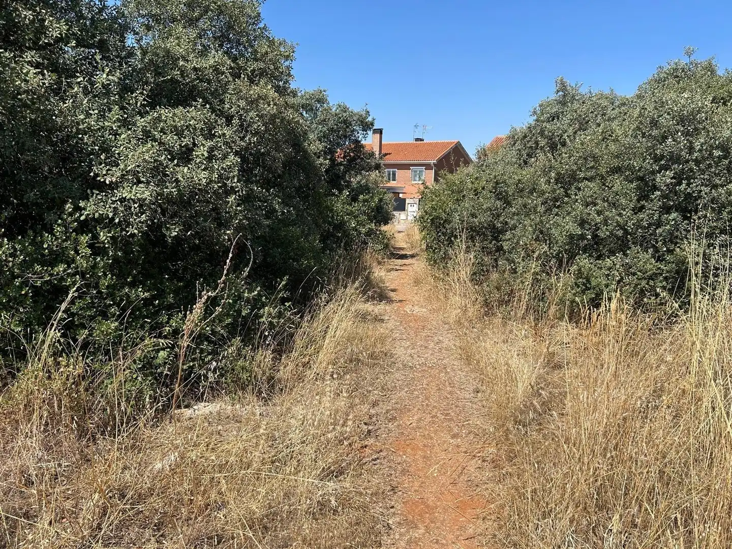 Terreno residencial en venta en Pioz, imagen 8