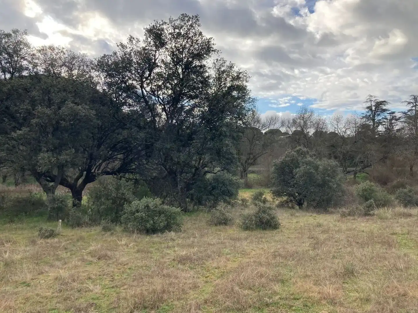Residential land for sale in Urbanización Sotogrande 3, imagen 13