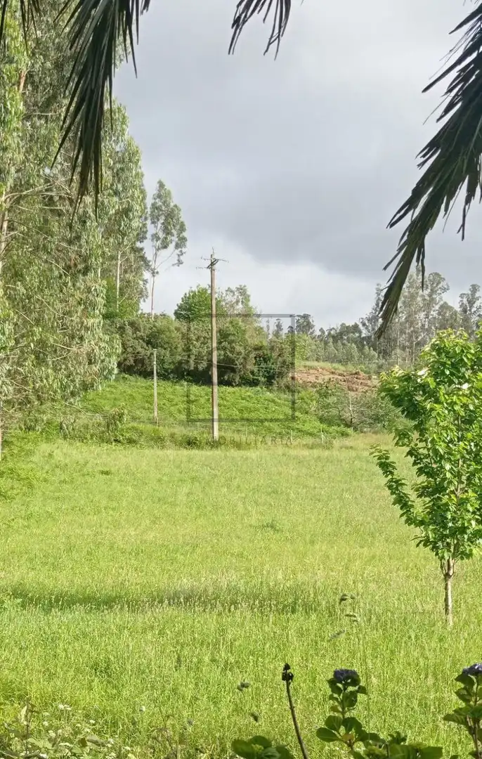 Terrenys i solars en venda a Lugar Ferreria