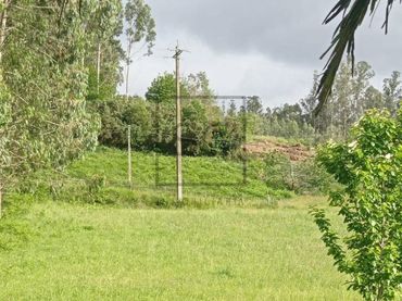 Terrenys i solars en venda a Lugar Ferreria