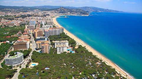 Foto 3 von Geschaftsraum zur Miete in Els Pins, Blanes