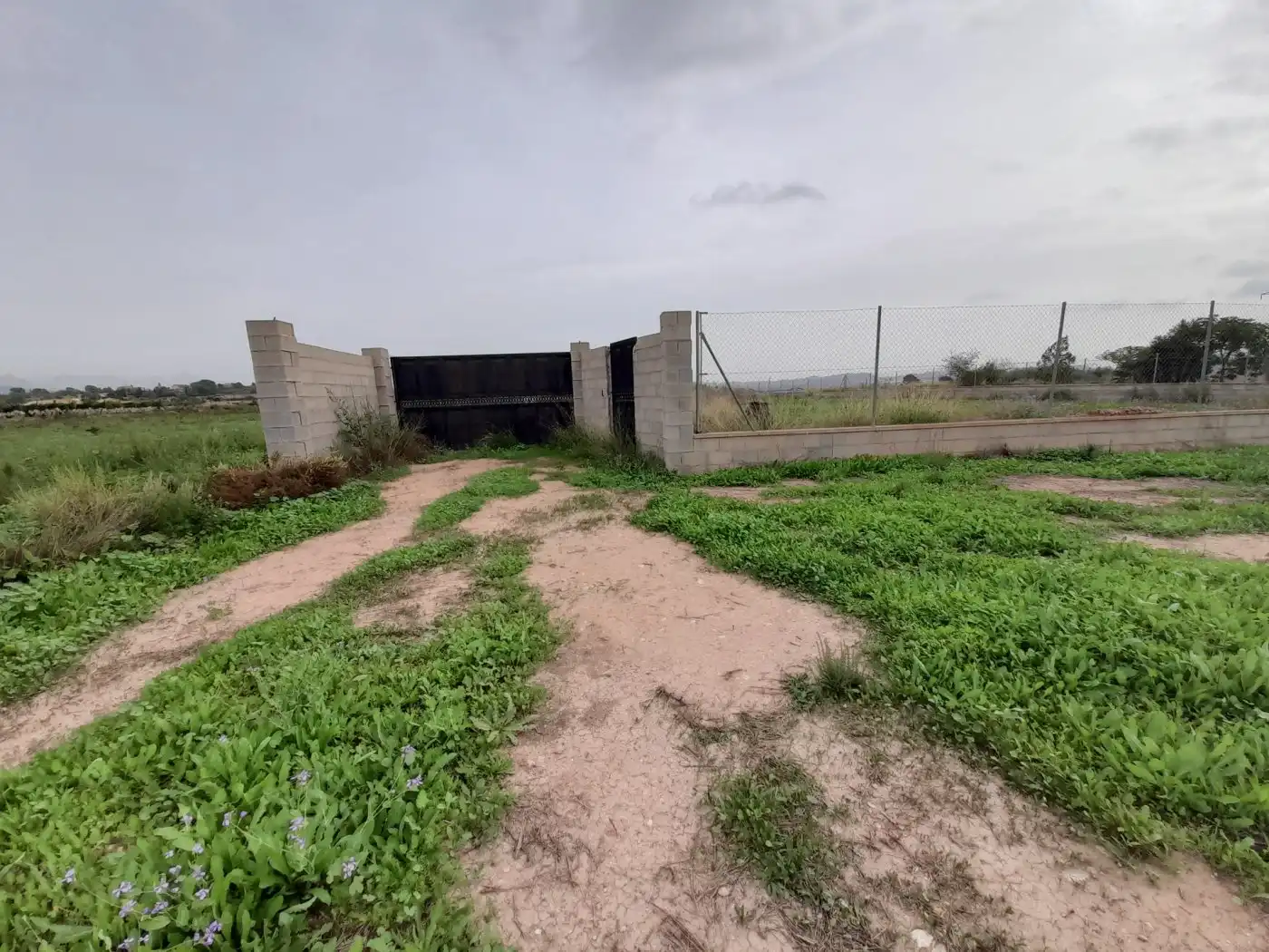 Casa o xalet en venda en Novelda amb Terrassa i Alarma