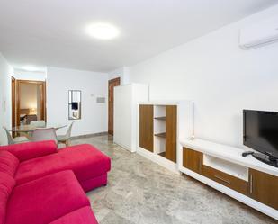 Sala d'estar de Apartament en venda en  Granada Capital amb Aire condicionat, Calefacció i Moblat