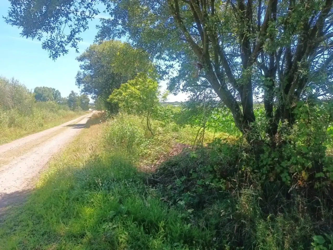 Terreno en venta en Oza dos Ríos