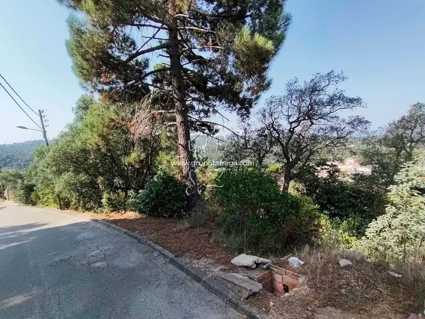 Residential land for sale in Carrer Petúnia 7