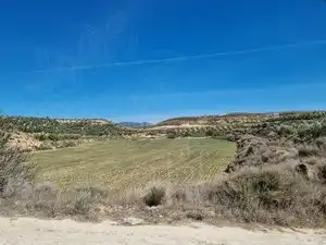 Terreno rústico en venta en Calle Granada, imagen 12