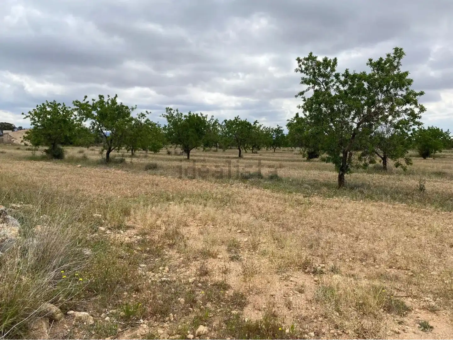 Terrain rustique à vendre à Carrer dels Teixidors, imagen 8